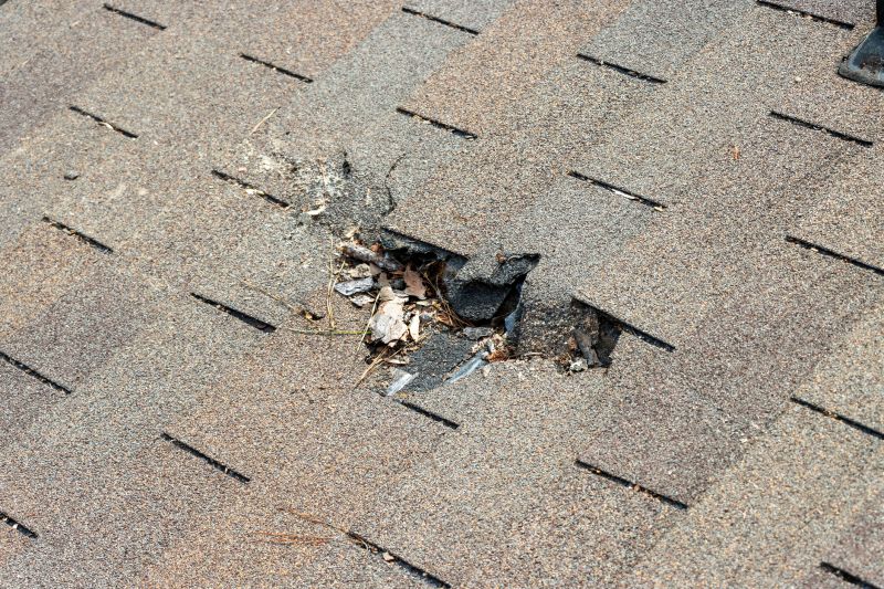 Roof Hail Damage Repair